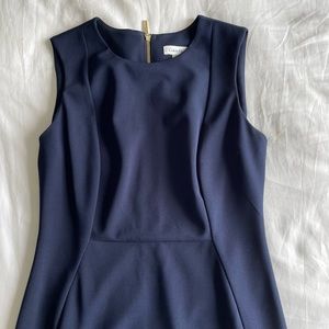 Navy Sleeveless Sheath Dress